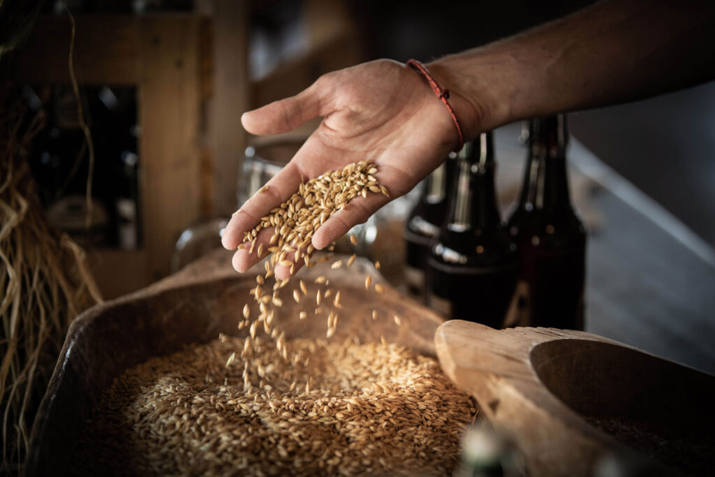 Hand mit Getreidekörnern
