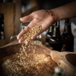 Hand mit Getreidekörnern