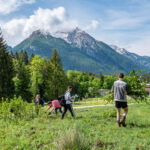 Freiwillige Helfer beim Schwenden auf der Alm
