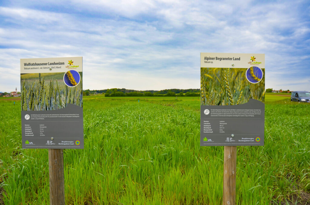 Informationstafeln am Biosphären-Getreidegarten