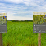 Informationstafeln am Biosphären-Getreidegarten