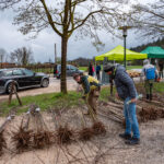 Ausgabe der Obstbäume bei der Biosphären-Obstbaumaktion