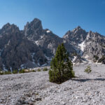 Schuttmassen im Wimbachgries mit einzelnem Baum