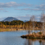 Blick über das Ainringer Moos zum Gaisberg