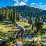 Teilnehmer beim Schwenden der Almfläche am Zehnkaser