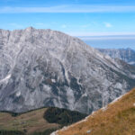 Steinbock mit Watzmann im Hintergrund