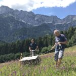 Mitarbeiter bei der Samenernte mit dem eBeetle vor dem Bergmassiv des Untersbergs
