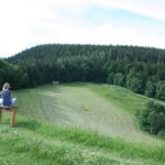 Person sitzt auf einer Schulbank in einer Wiese