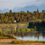 View over the Ainringer Moos to the observation tower