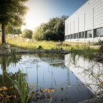 Naturnah gestaltetes Außengelände eines Betriebs