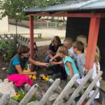 Kinder bepflanzen zusammen mit Mitarbeitern der Biosphärenregion einen Bauerngarten