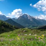 Auf der Mordaualm mit Blick über eine Blumenwiese zum Hochkalter