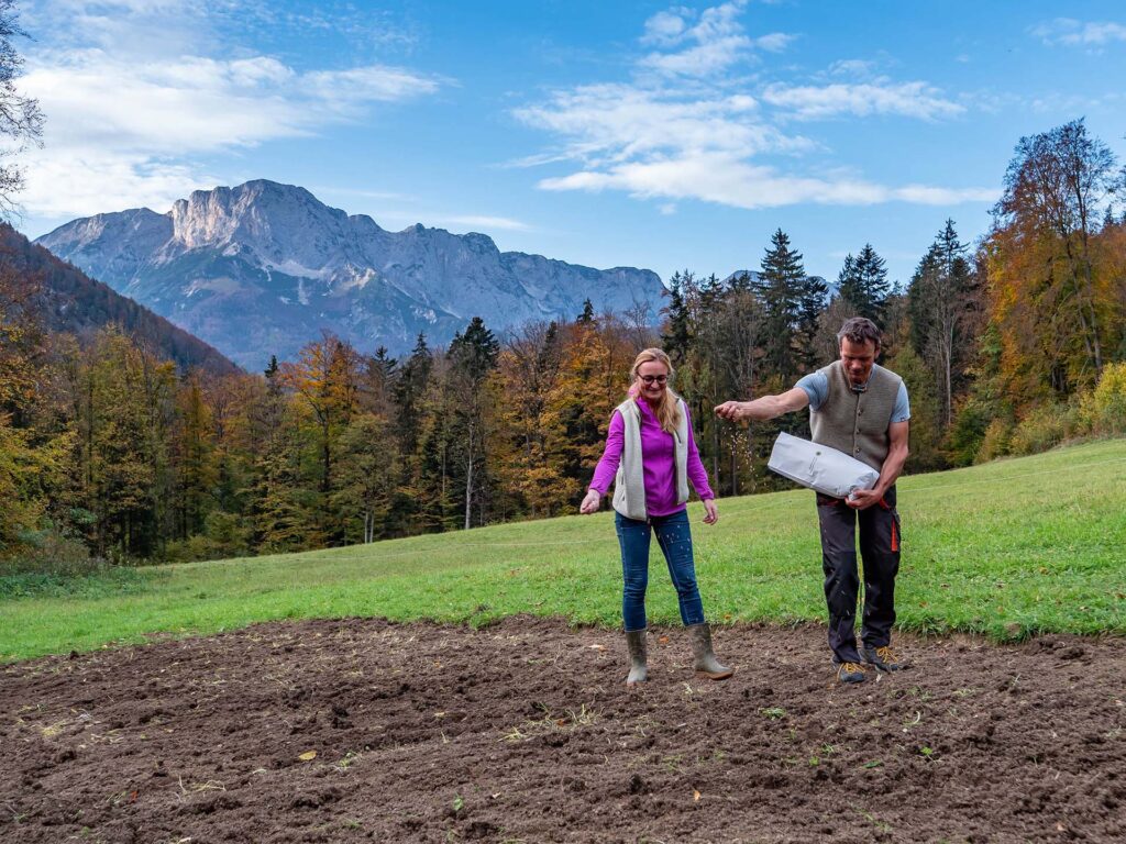 Landwirte säen mit der Hand Samenkörner des Berchtesgadener Vogel vor Gebrigskulisse