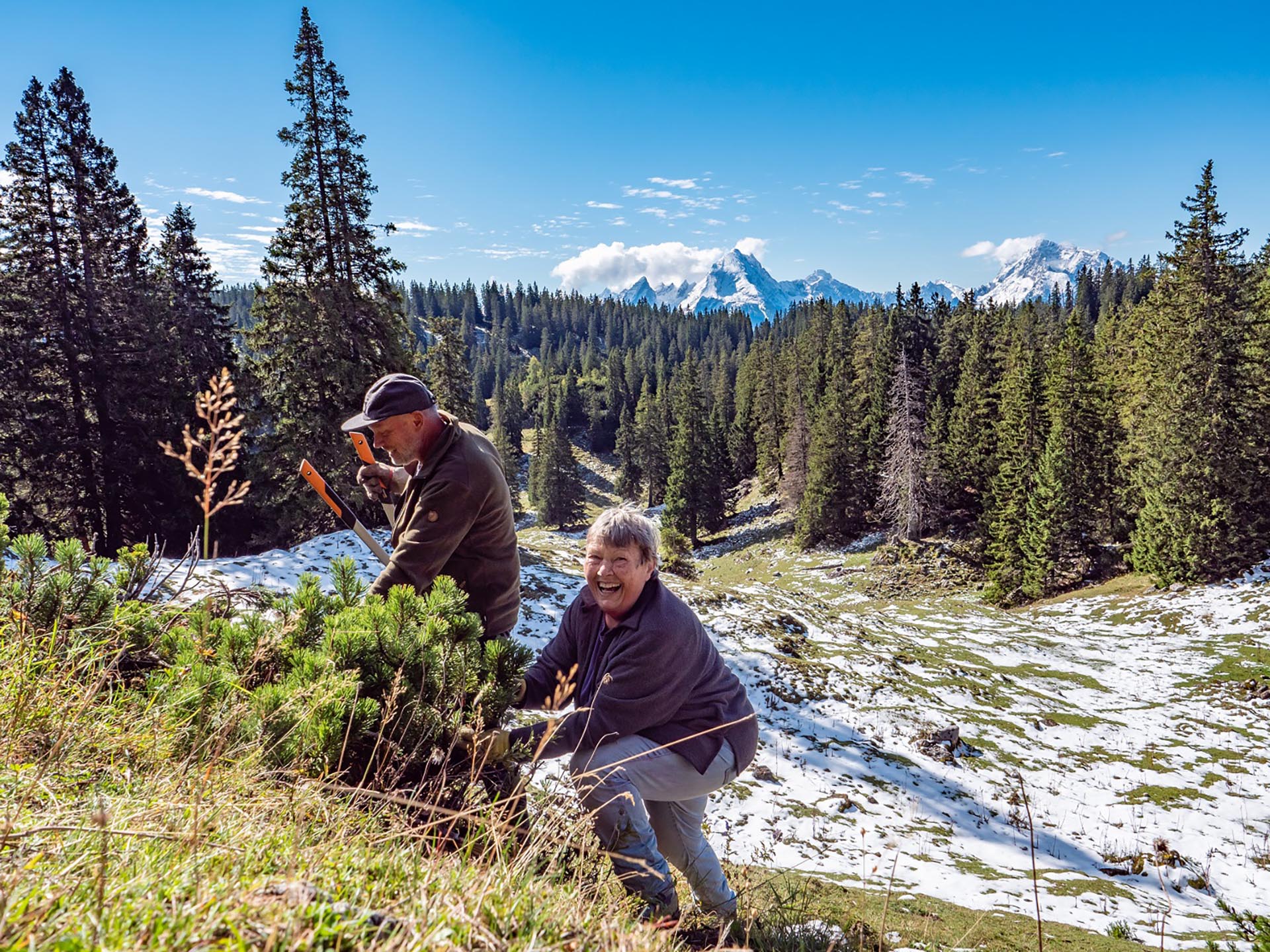 Teilnehmer des Freiwilligencamps am Untersberg helfen beim Schwenden einer Almfläche mit Blick zum Watzmann