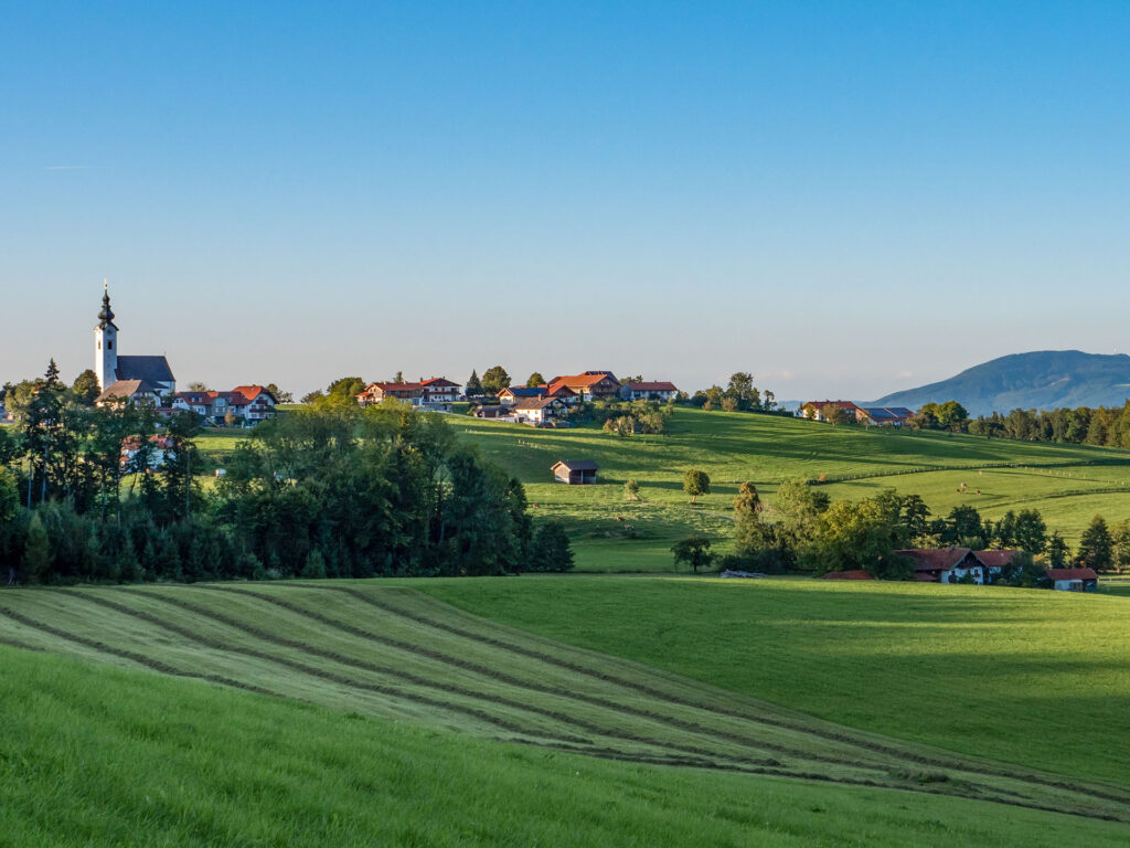 Blick über gemähte Wiesen auf die Siedlung mit Kirche am Ulrichshögl