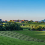 View over mown meadows to the settlement with church at Ulrichshögl