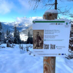 Infotafel am winterlichen Erlebnisweg am Hirschkaser