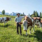 Landwirt und Milchkühe auf der Alm