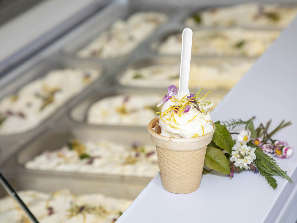 Becher mit Biosphären-Eis