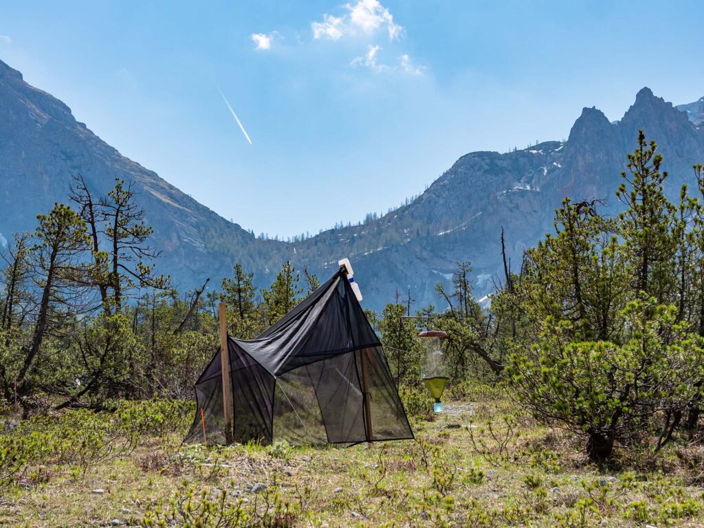 Forschung im Nationalpark: Malaisefalle im Wimbachgries