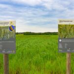 Informationstafeln am Biosphären-Getreidegarten
