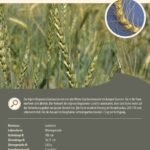 Steckbrief Alpiner Begrannter Land