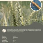 Steckbrief Berchtesgadener Vogel