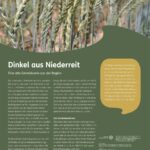 Steckbrief Dinkel aus Niederreit