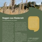 Steckbrief Roggen aus Niederreit