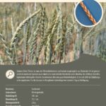 Steckbrief Steiners Roter Tiroler Dinkel