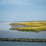 Watt und Salzwiesen an der Nordsee