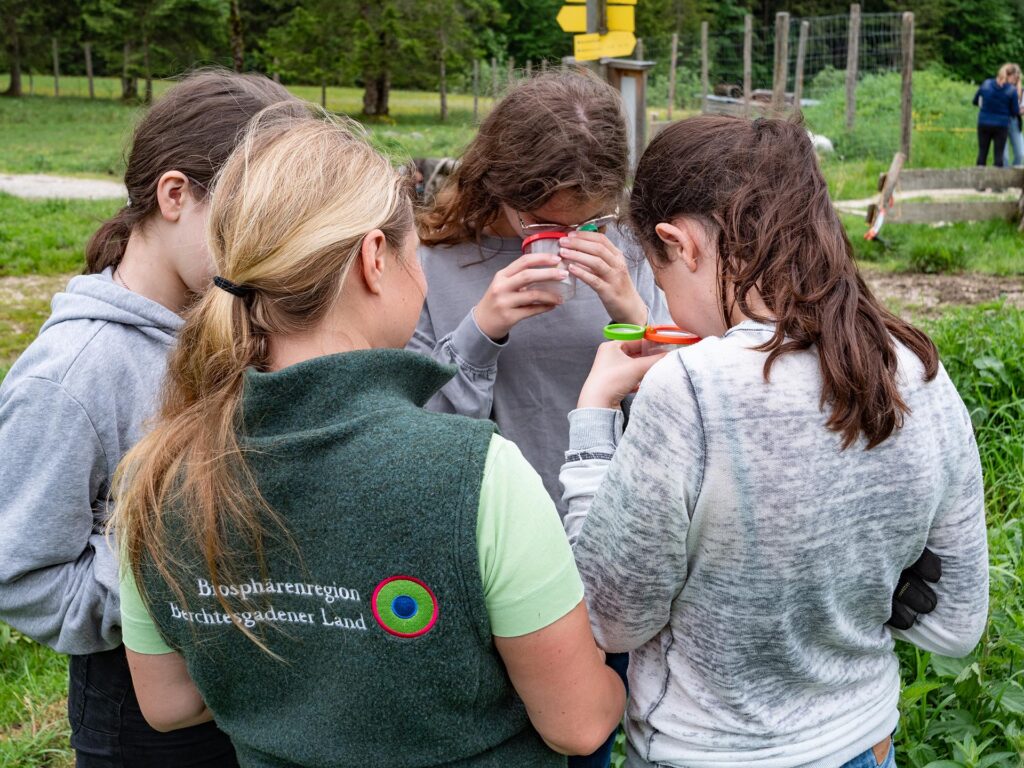 Schülerinnen untersuchen Insekten in einer Becherlupe