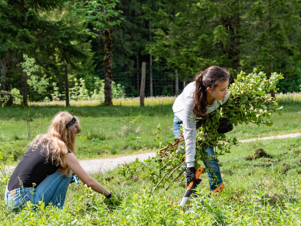 Schülerinnen helfen auf der Alm beim Schwenden