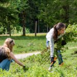 Schülerinnen helfen auf der Alm beim Schwenden