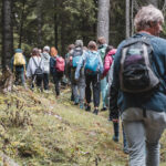 Schulklasse unterwegs im Wald