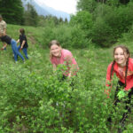 Schülerinnen einer Mittelschule helfen auf einem Almgelände beim Schwenden