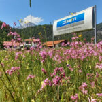 Blumenwiese und Firmenschild des Partnerbetriebs psm protech