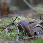 Verrostete Getränkedose in der Natur