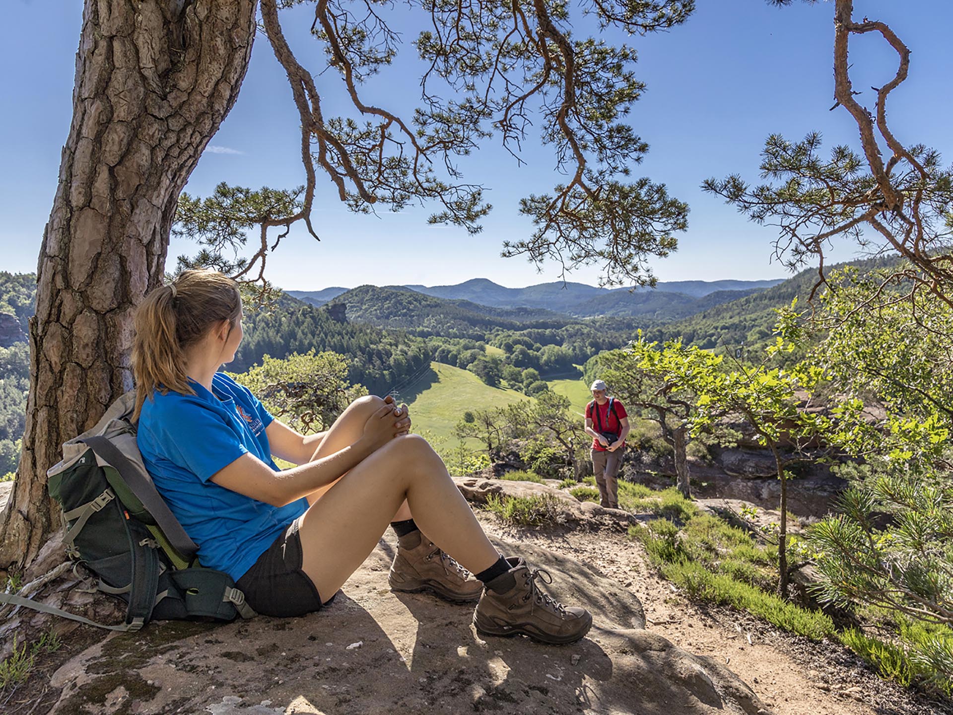 Wanderin sitzt zur Rast an einem Baum und blickt in die hüglige Landschaft