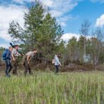 Ranger unterwegs mit Kindern im Ainringer Moor
