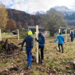 Schüler pflanzen eine 60 Meter lange Biosphären-Hecke