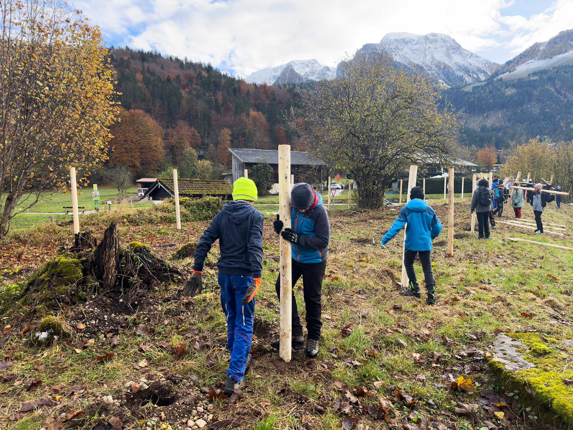 Schüler pflanzen eine 60 Meter lange Biosphären-Hecke