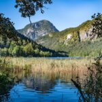 View over the reeds in Thumsee to the Ristfeuchthorn