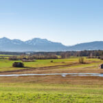 Blick über die Feuchtwiesen des Haarmoos zum Hochstaufen
