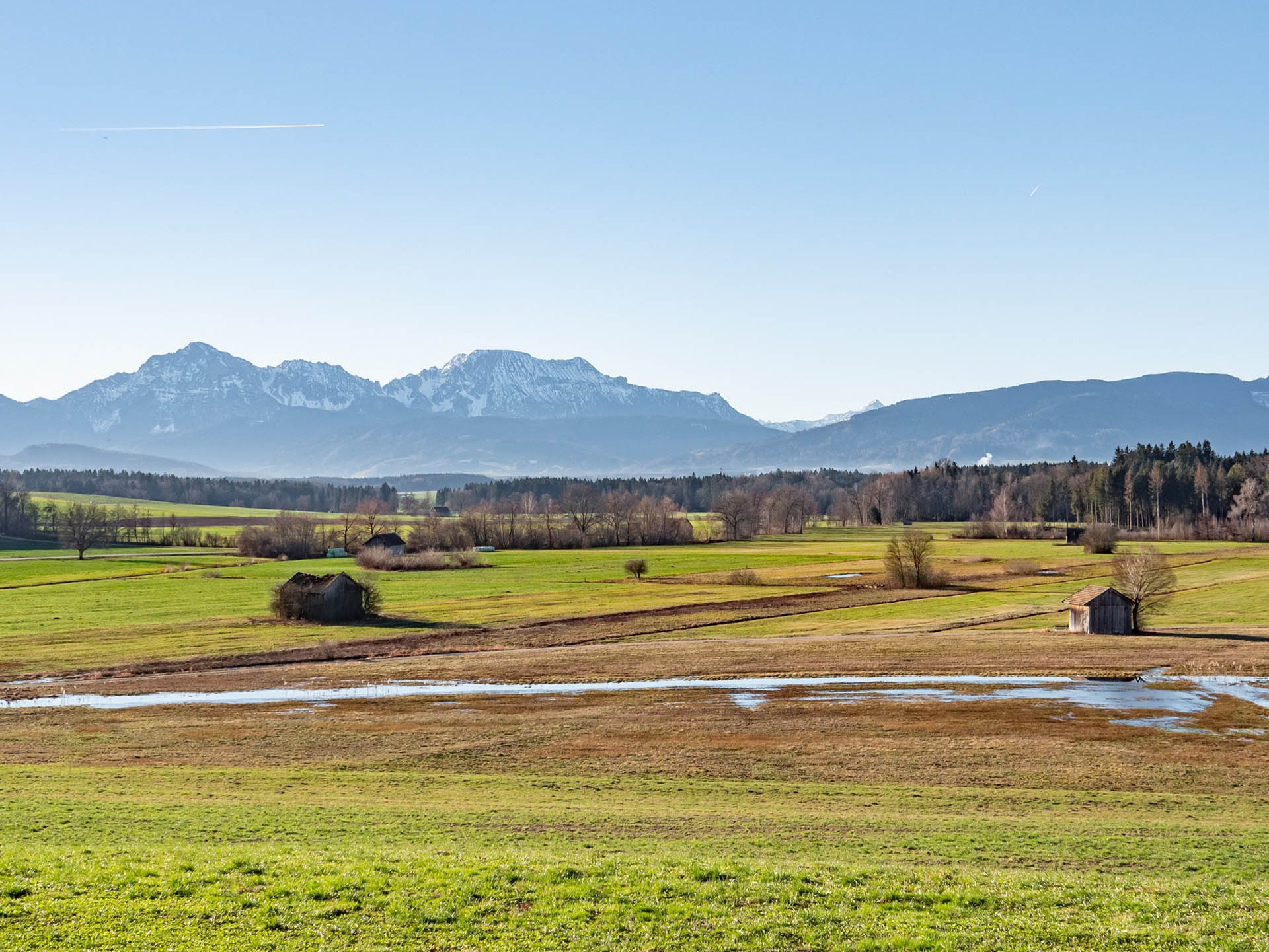Blick über die Feuchtwiesen des Haarmoos zum Hochstaufen