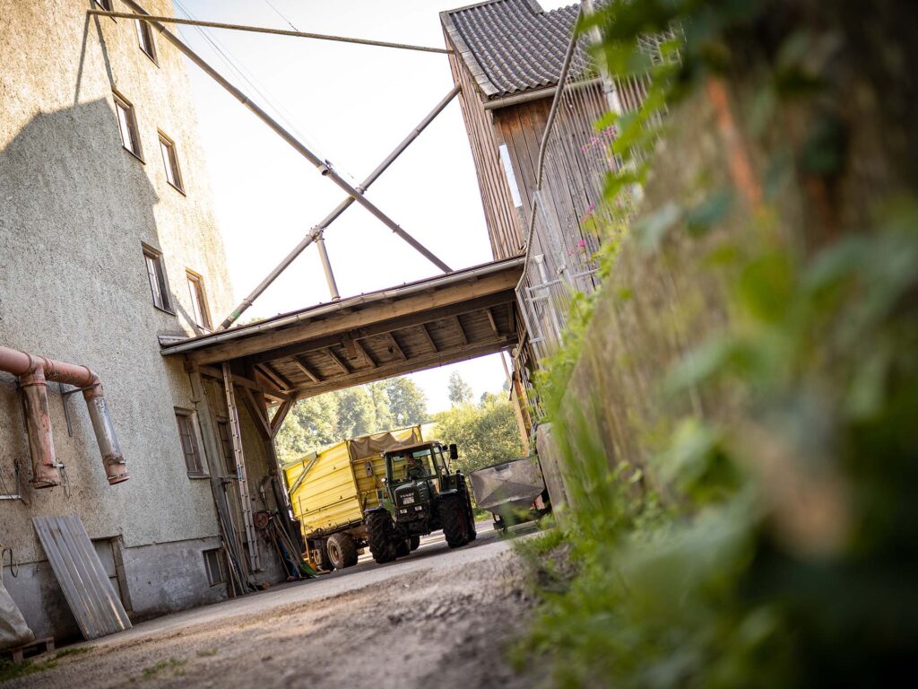 Traktor liefert Getreide in einem Anhänger an die Mühle