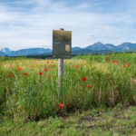 Schild im Biosphären-Getreidegarten mit Bio-Braugerste