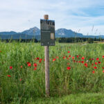 Schild im Biosphären-Getreidegarten mit Emmer aus Weihenstephan