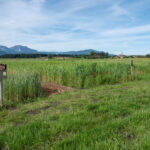 Biosphären-Getreidegarten mit Bergblick