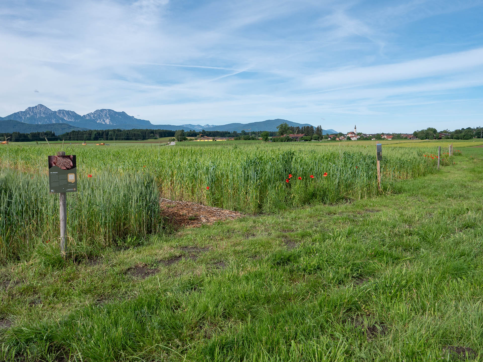 Biosphären-Getreidegarten mit Bergblick